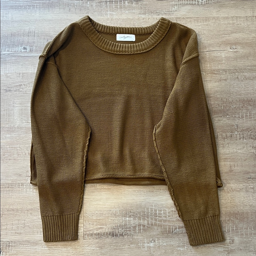 Carly Jean LA Brown Sweater